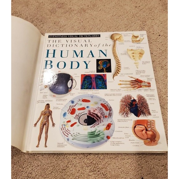 Eyewitness Visual Dictionaries: the Visual Dictionary of the Human Body by DK... - Picture 14 of 14
